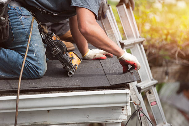 Roof Gutter Cleaning in Wrens, GA